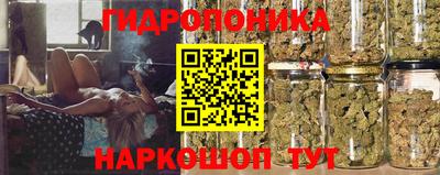 прущая мука Бердск