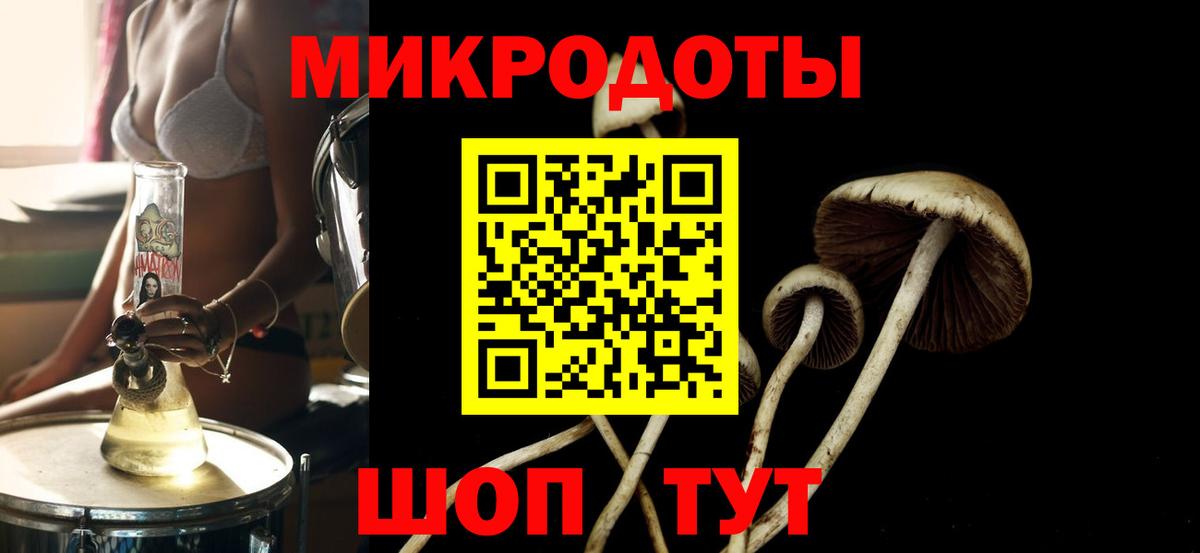 Псилоцибиновые грибы Psilocybine cubensis  Вход с VPN  Городец 